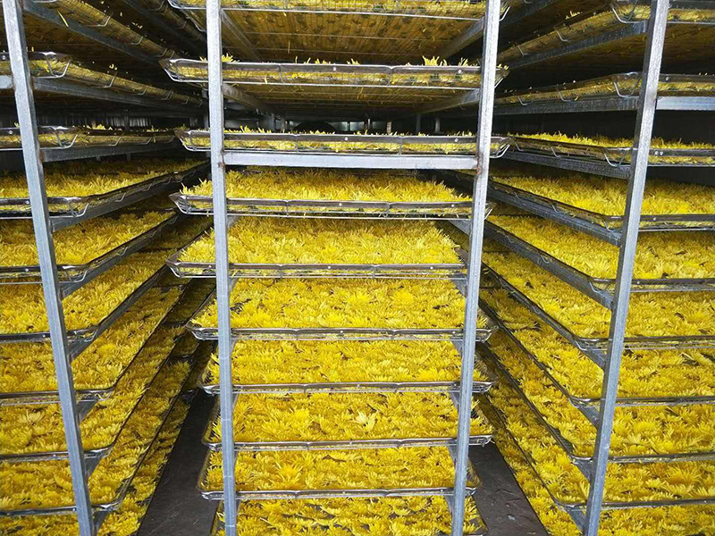 菊花烘干工艺技术与方法