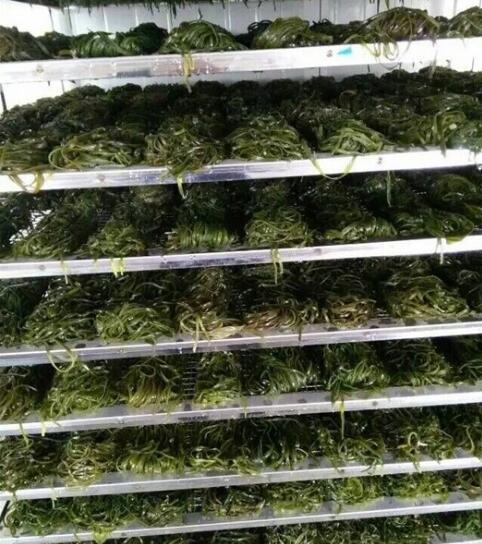 节能烘干方案